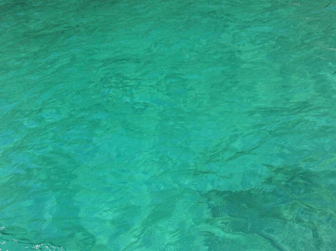 Lonier Ilha Inn Flats主图