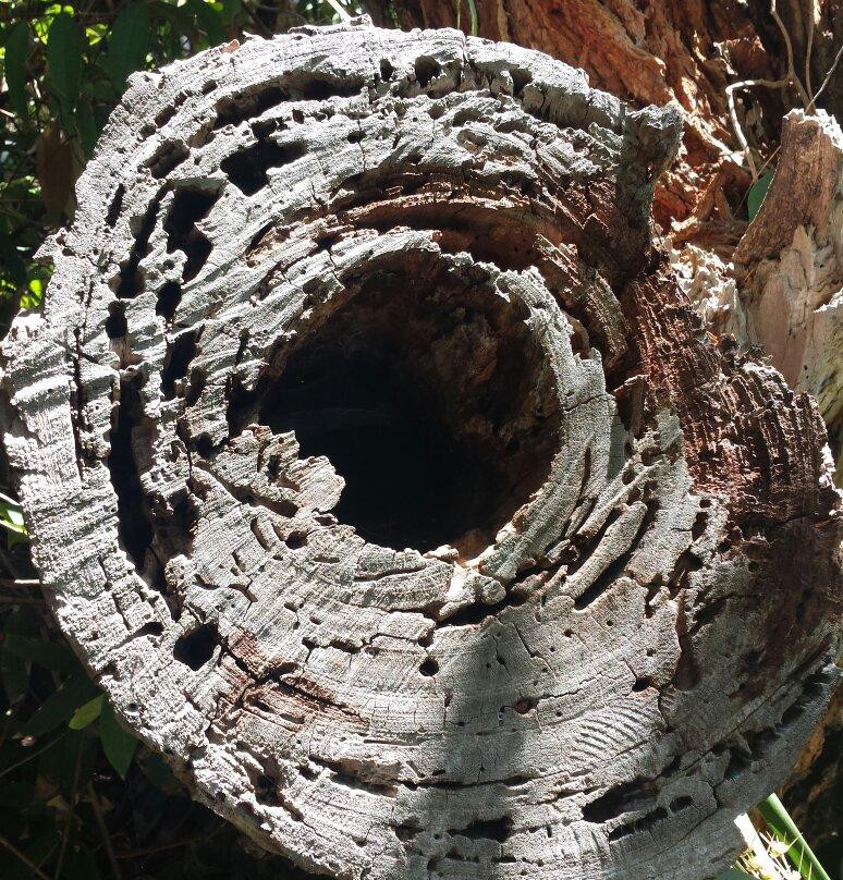 曼利斯匹特桥-悉尼必去景点