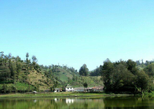 Lake Ranu Pane-Lumajang必去景点