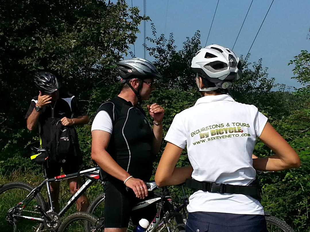Bike Veneto - Rent a Bike, Excursions and tours by bicycle景点图片