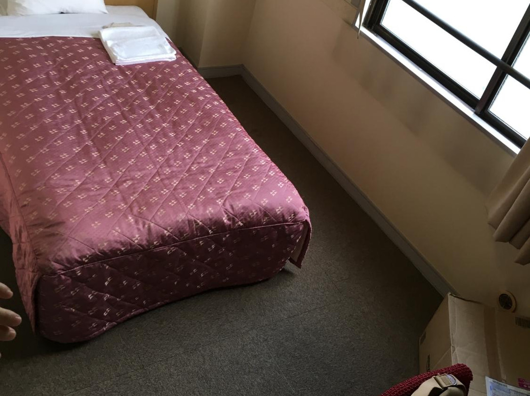 狭山市酒店住宿-Business Hotel Matsui