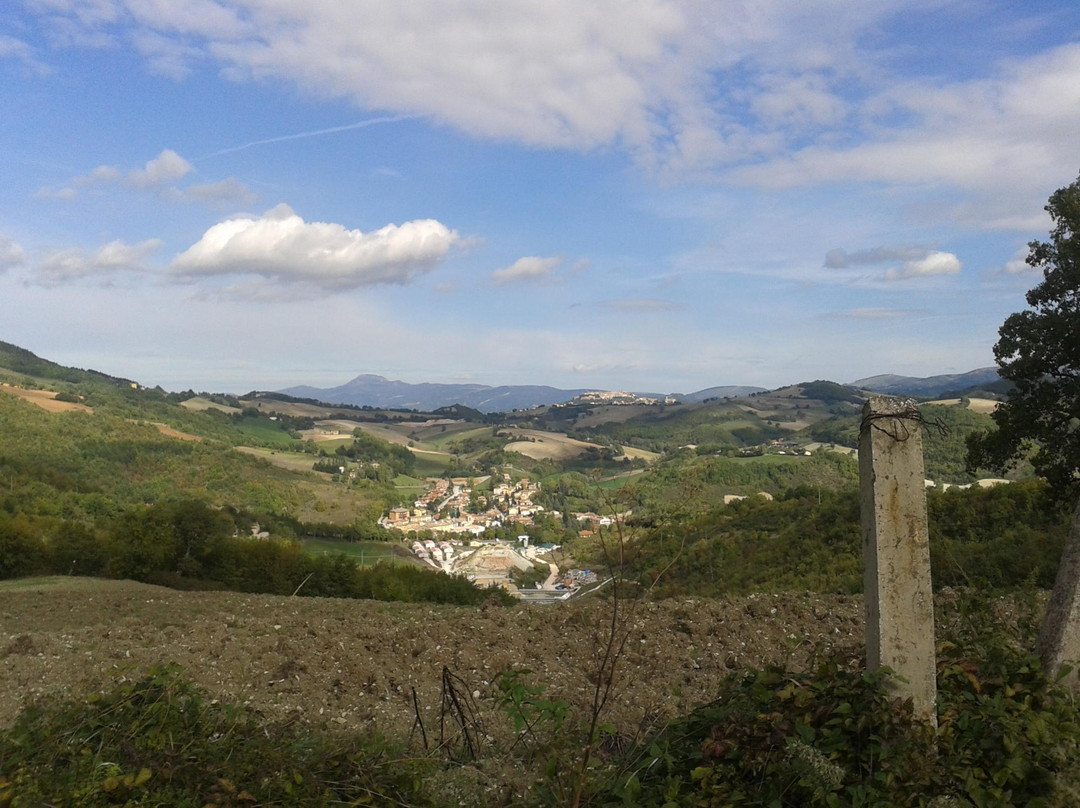 Agriturismo La Castellina主图
