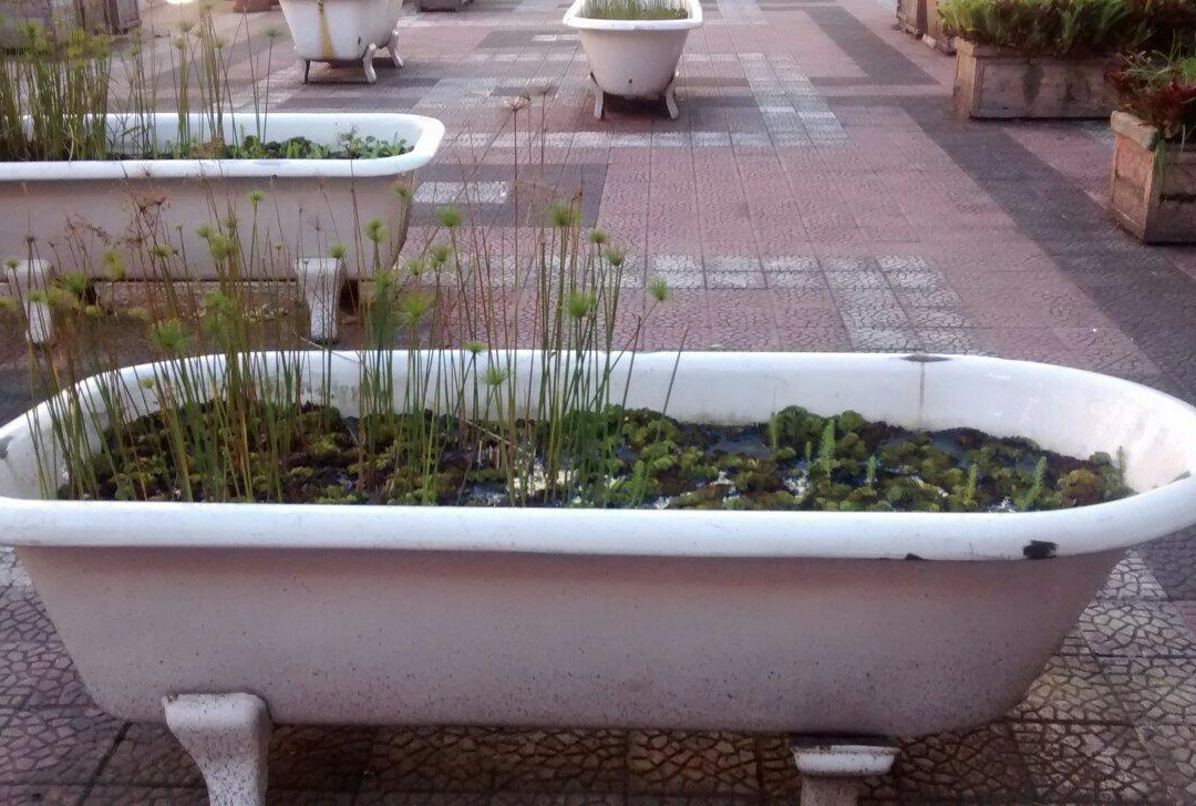 Jardim Lutzenberger-阿雷格里港必去景点