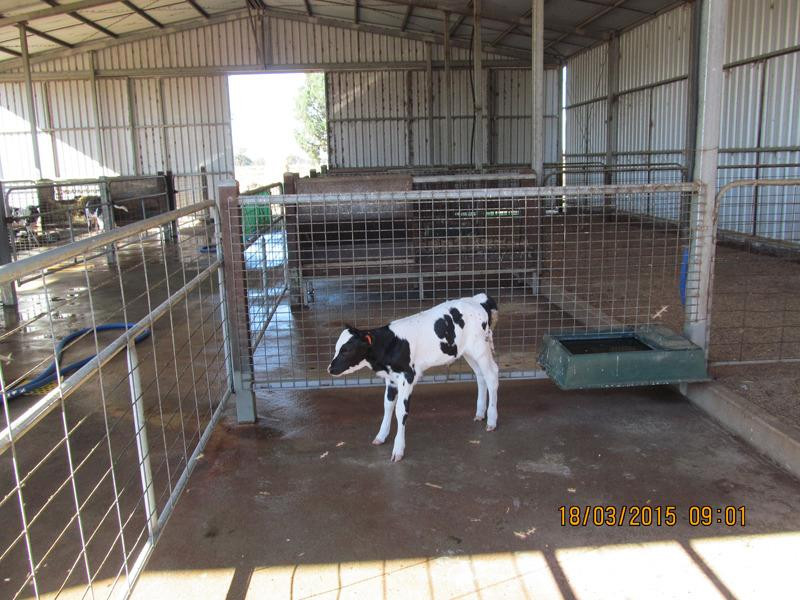 Boosey Creek Cheese-Boosey必去景点