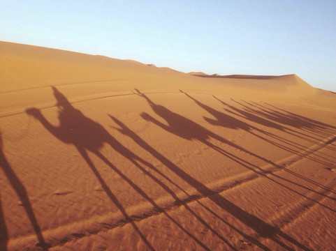 Reis Door Marokko-瓦尔扎扎特必去景点