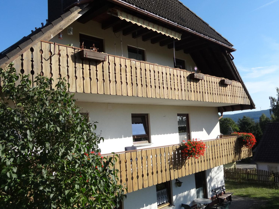 Schwoerer's Haus am Berg主图