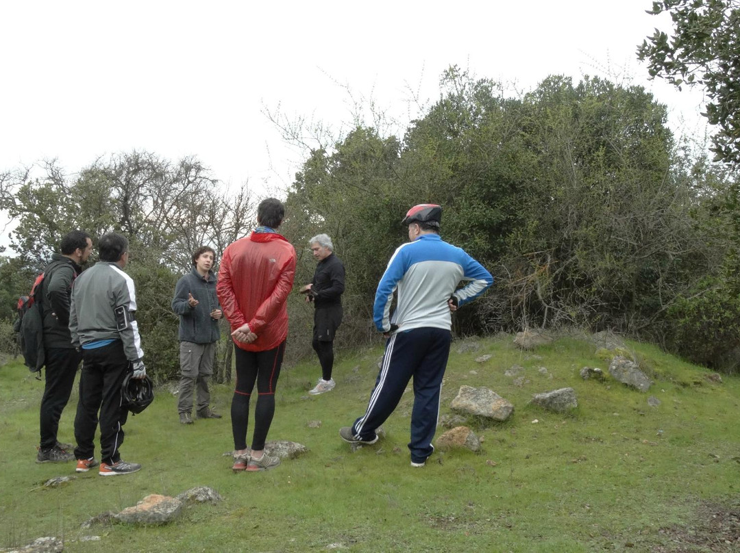 WinkulTrips-Pichidegua必去景点