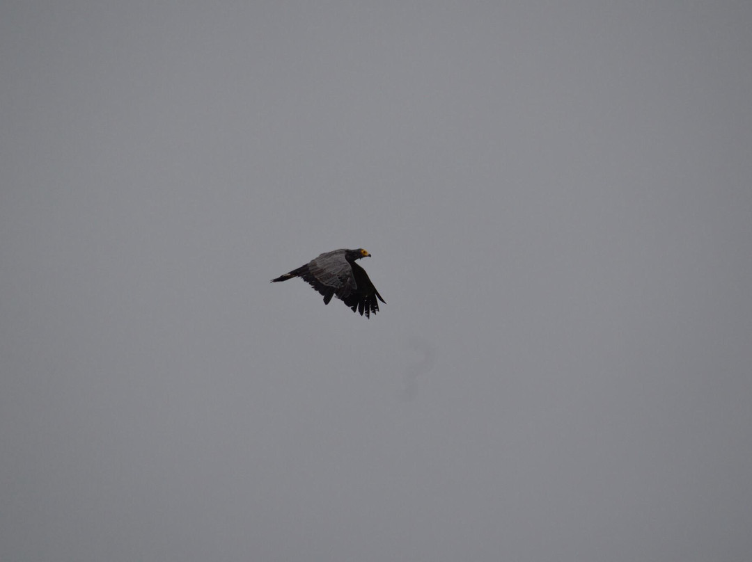 River # 2 Sierra Leone主图