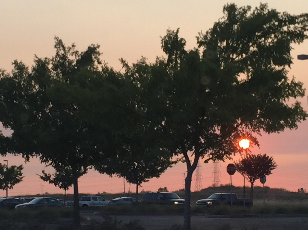 Harris Center-佛森必去景点