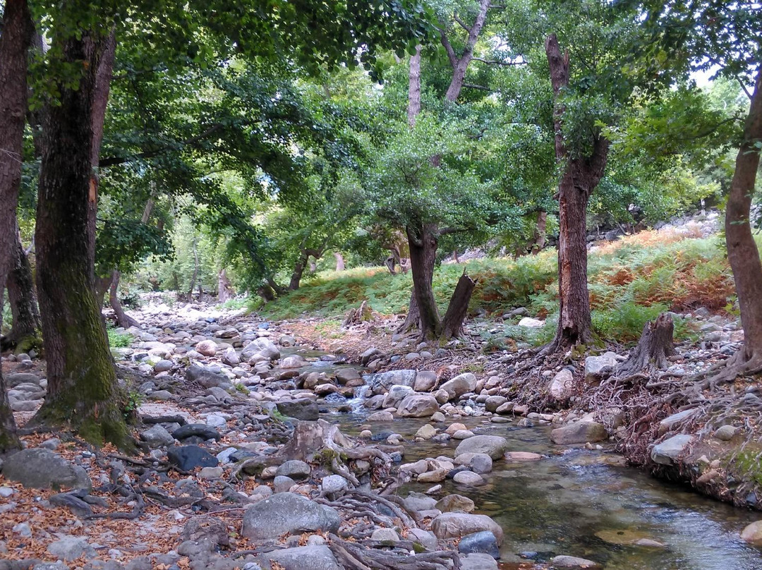 Fonias Gorge-Samothráki必去景点