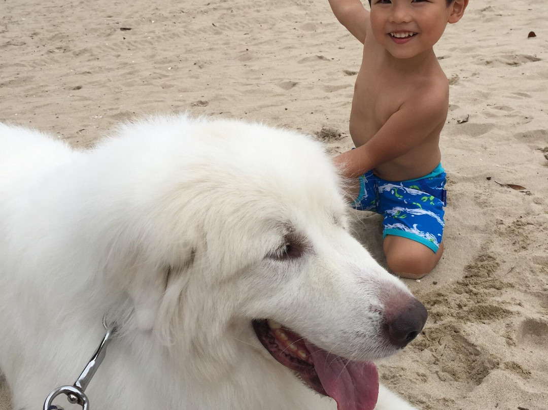 Goza Beach-志摩市必去景点