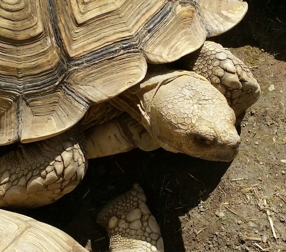 Exotarium: Ferme de Reptiles-Saint-Eustache必去景点
