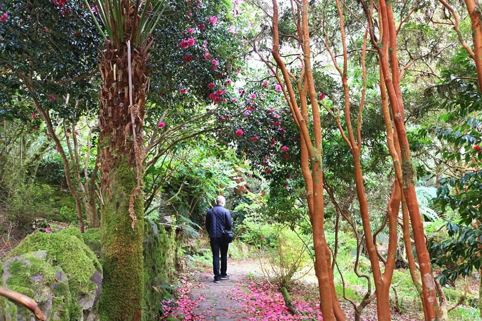 Cahersiveen酒店住宿-Kells Bay House And Gardens