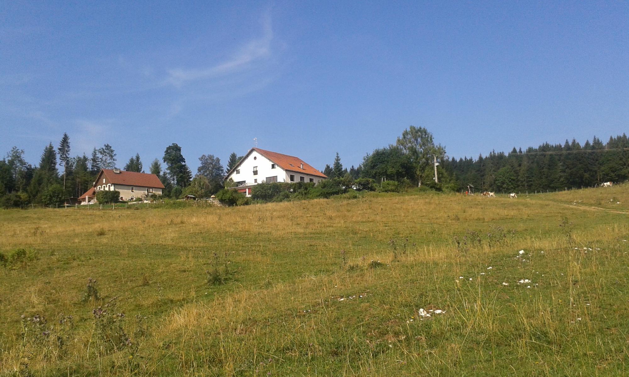 Hotel Au Bois De La Biche-客卧
