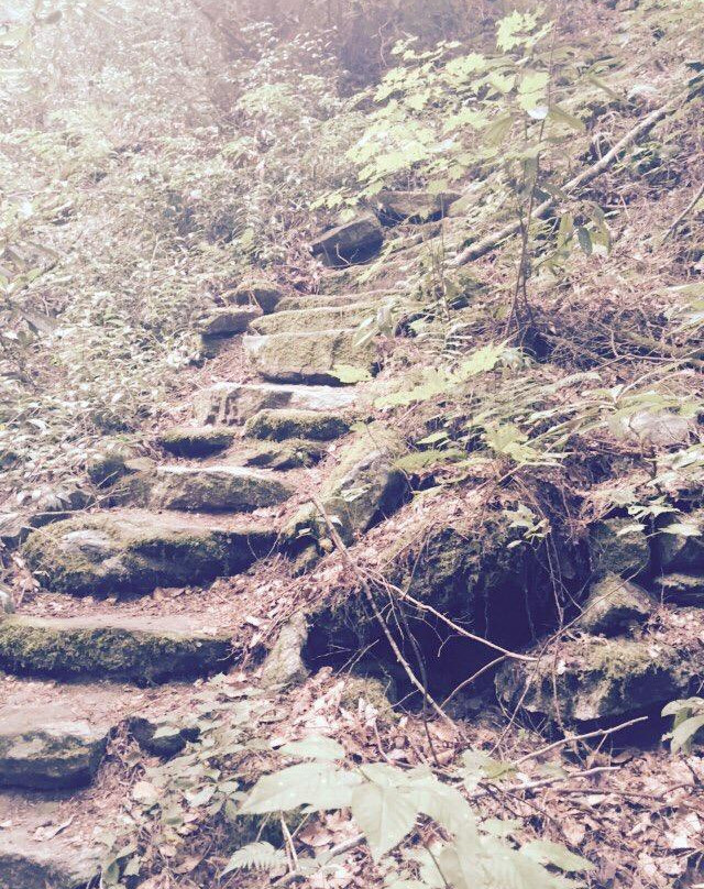 Warwoman Dell Recreation Area-Clayton必去景点