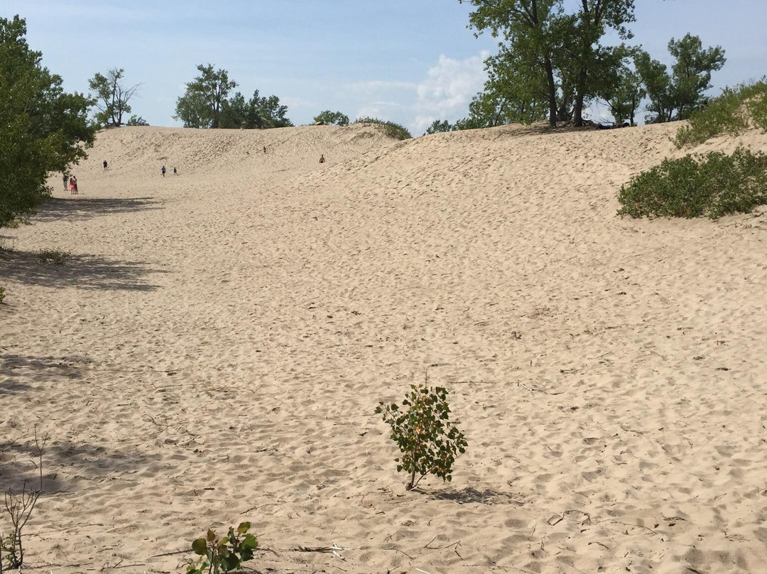 Dunes Beach景点图片