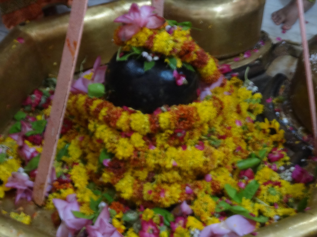 Gopishvar Mahadev Temple景点图片