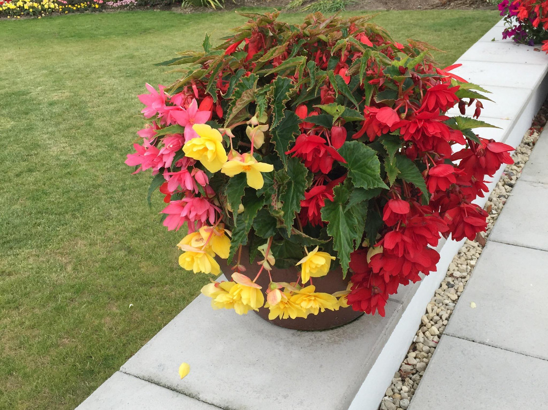 Marbury Hall Nurseries-Northwich必去景点