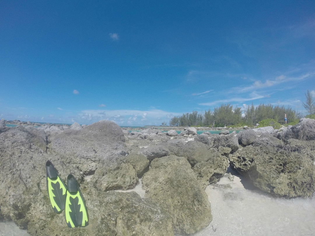 Silver Point Reef-弗里波特必去景点
