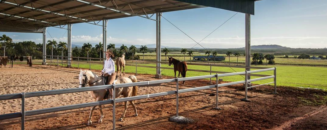 Ports Horse Farm-道格拉斯港必去景点
