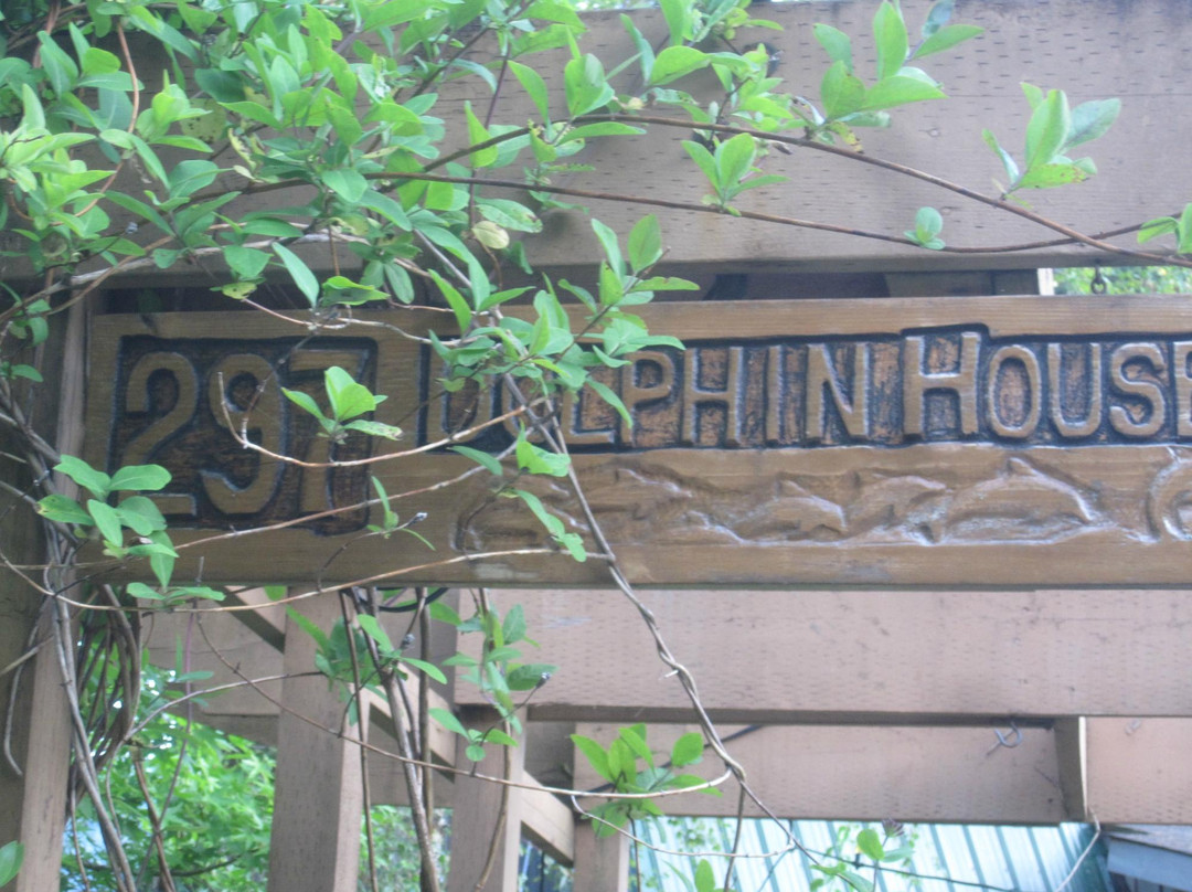 Dolphin House主图