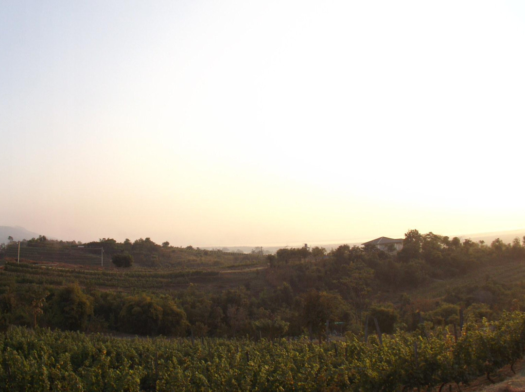 Red Mountain Estate Vineyards & Winery景点图片