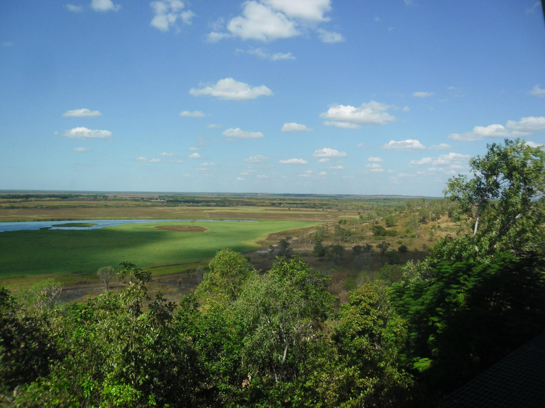 Window on the Wetlands Visitor Centre景点图片