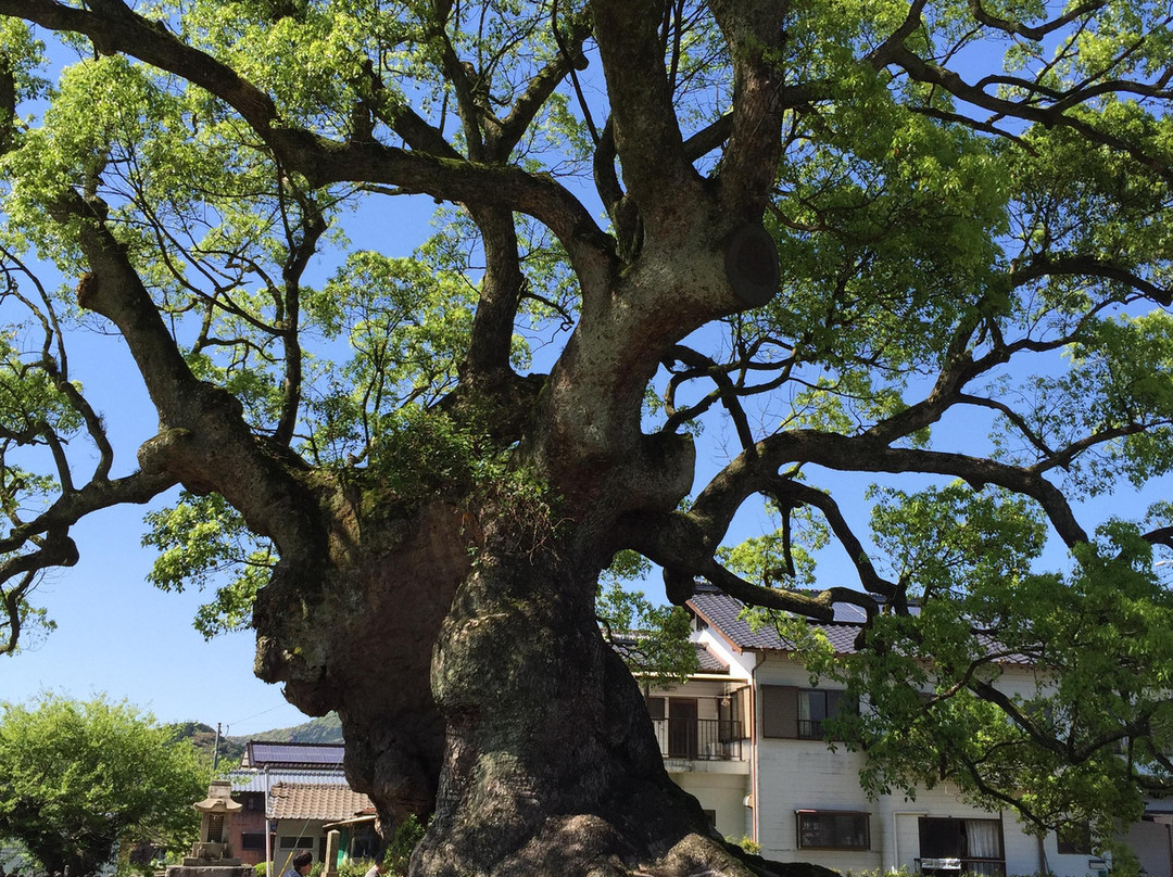 Kawagono Okusu-武雄市必去景点