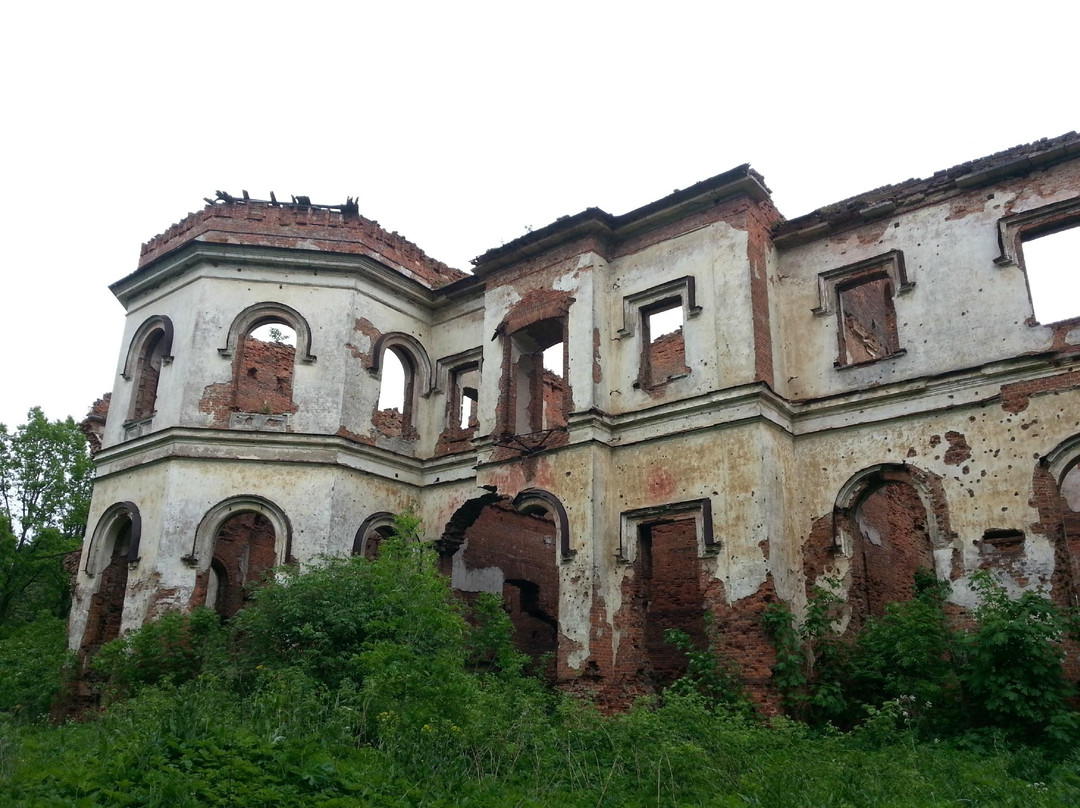 Gostilitsy Palace景点图片