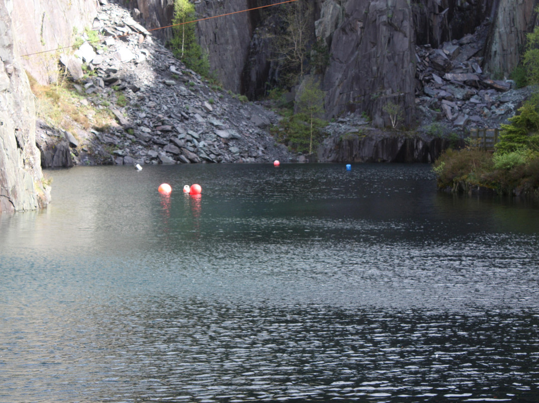 Vivian Diving centre景点图片