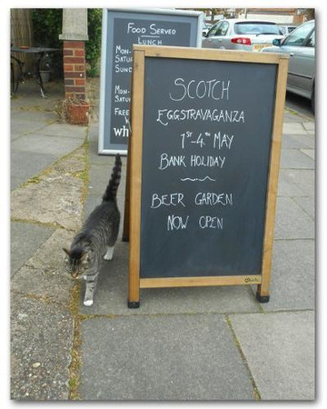 White Hart Tap-圣奥尔本斯必去景点