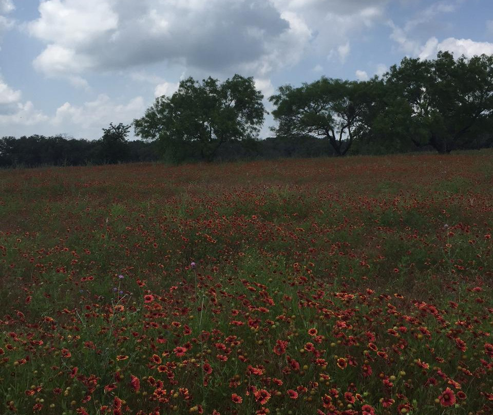 Turkey Bend Recreation Area-Marble Falls必去景点