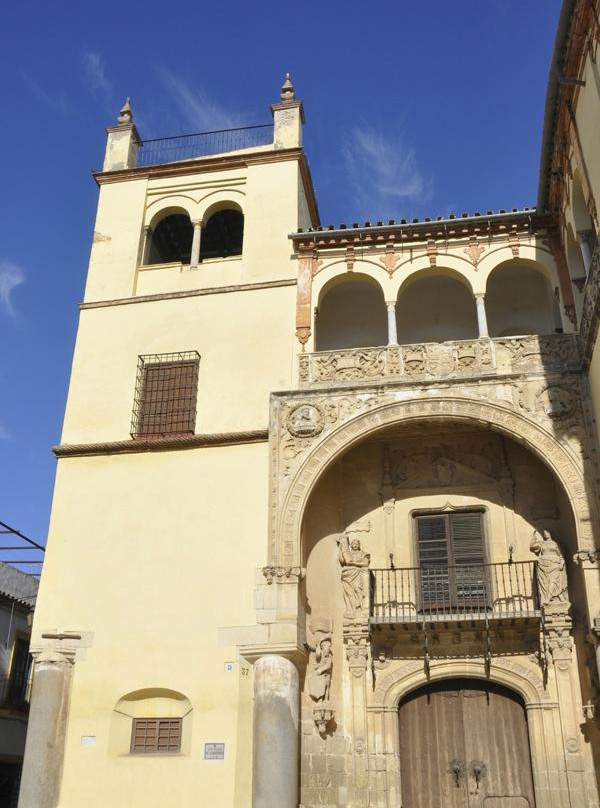 Palacio de Valdehermoso景点图片