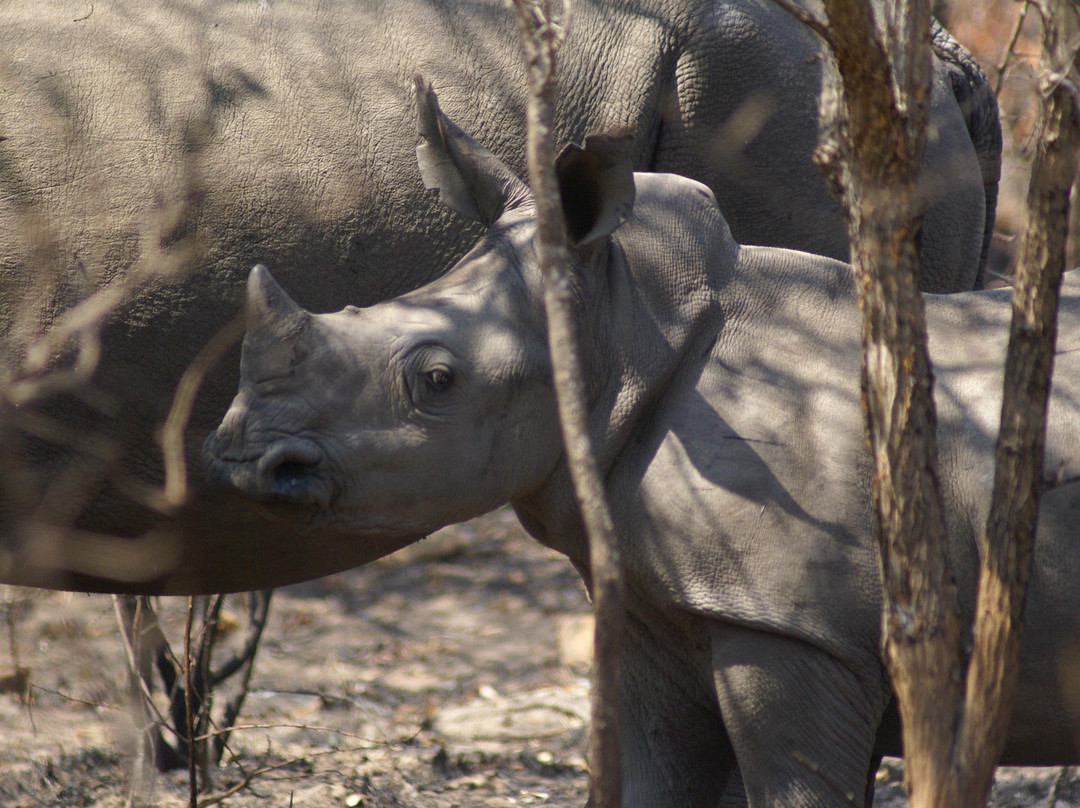 Mthethomusha Game Reserve-马里兰必去景点