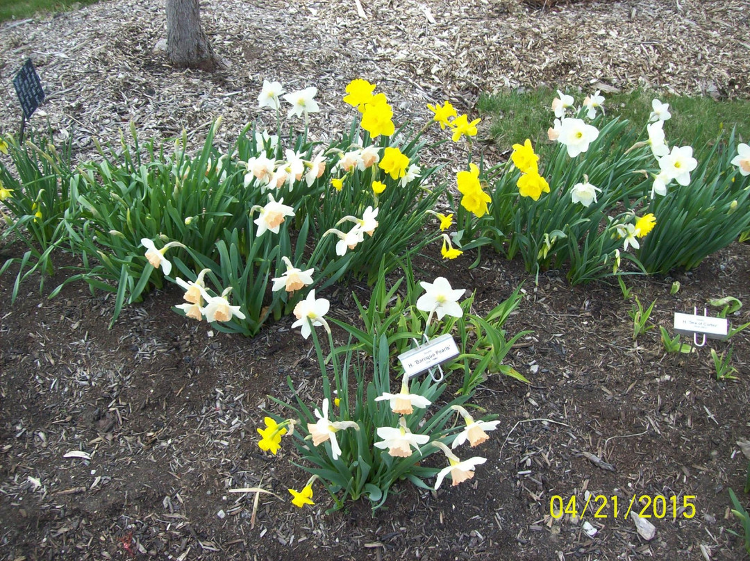 Simpson Garden Park-鲍灵格林必去景点