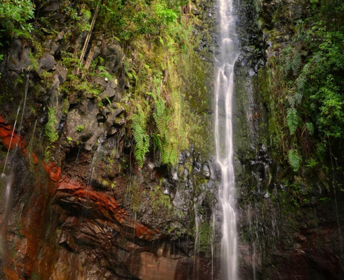 Nature Meetings-沙尔必去景点