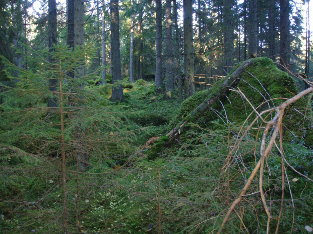 Gronudde Naturreservat