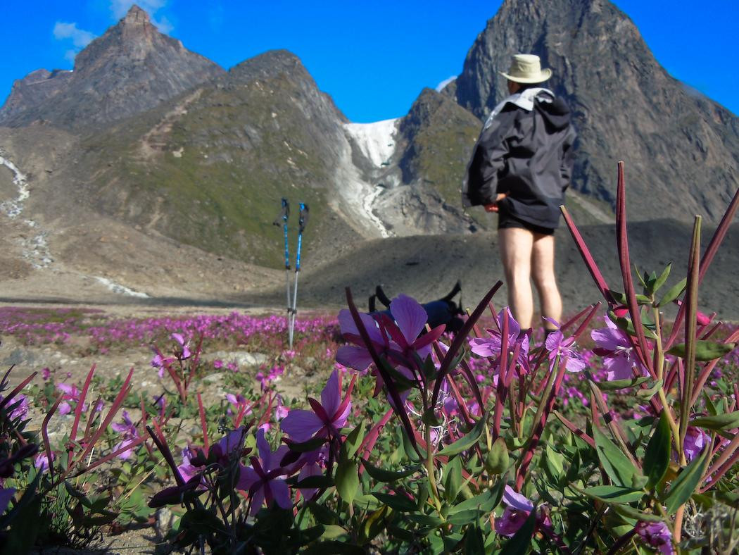 Inukpak Outfitting-Iqaluit必去景点