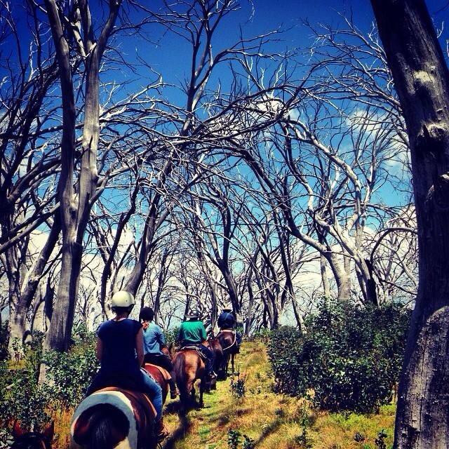 Hidden Trails by Horseback-Tolmie必去景点