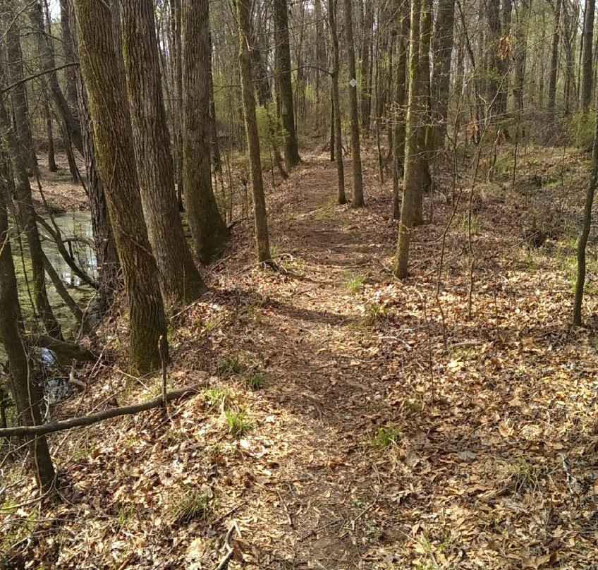 Congaree Creek Heritage Preserve-Cayce必去景点