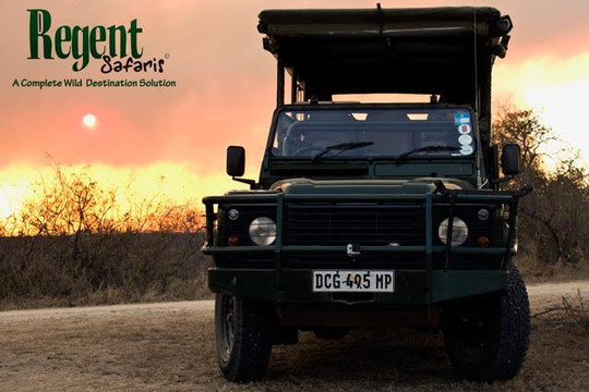 Regent Safaris