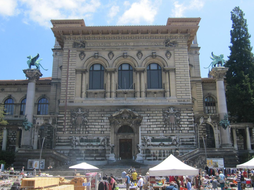 Palais de Rumine景点图片