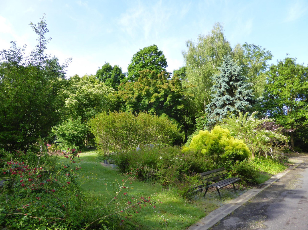 Arboretum Cimetière Parc景点图片