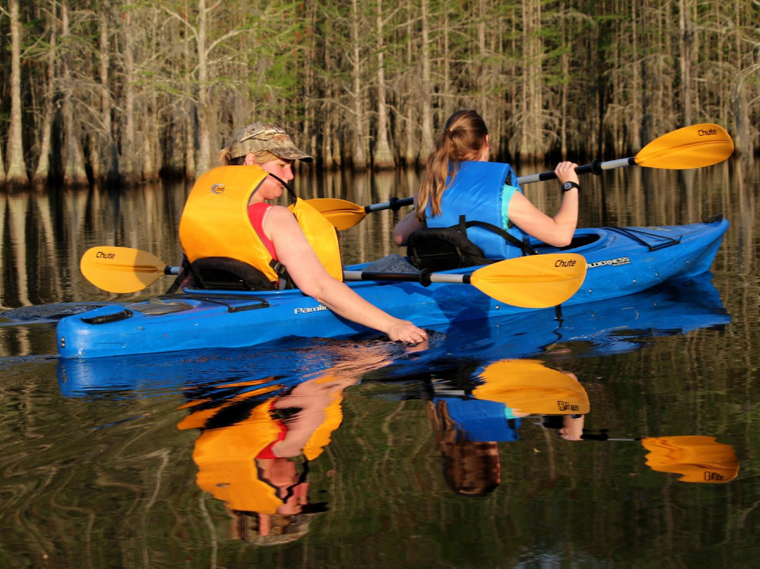 Mill Pond Kayak, LLC-Twin City必去景点