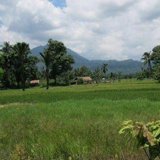 Sumatra Jungle Adventure景点图片