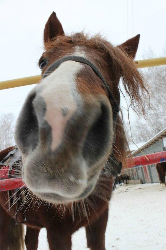 Bystrai-车里雅宾斯克必去景点