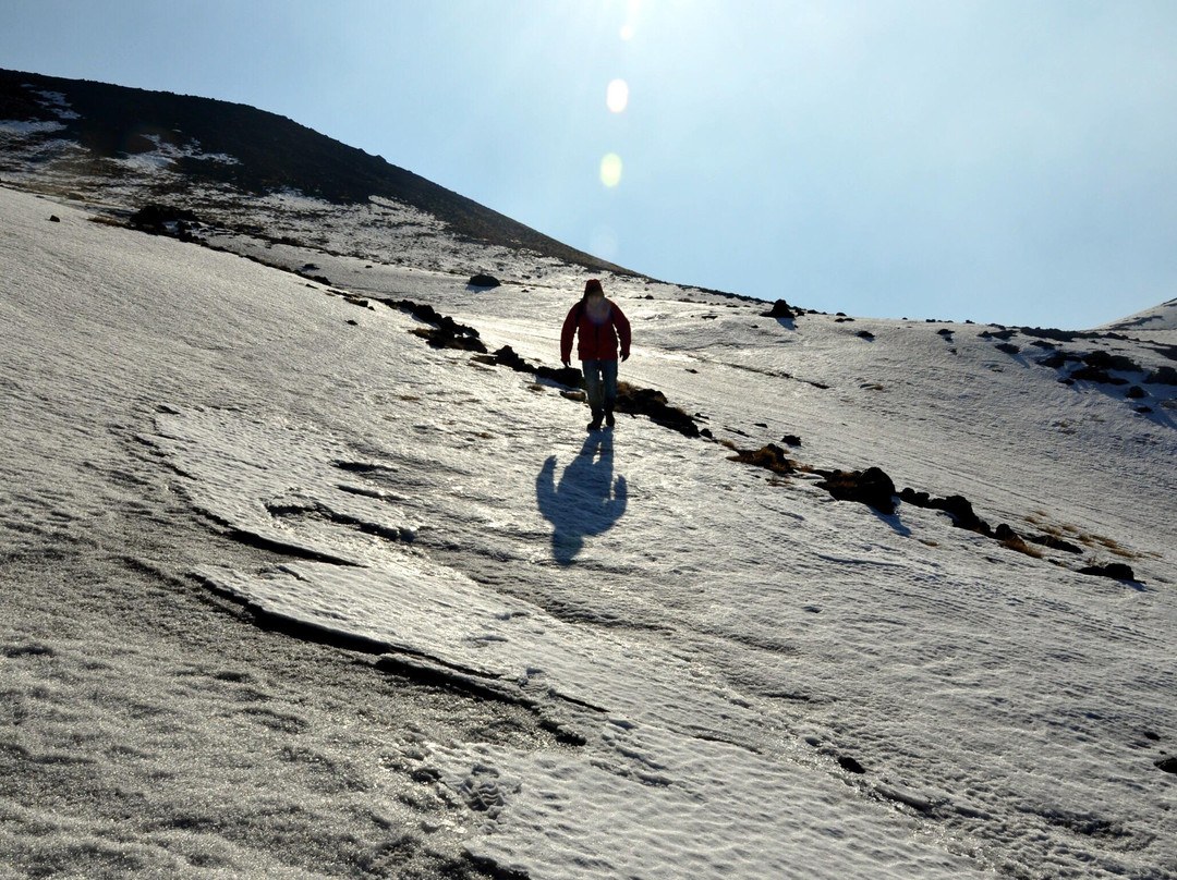 Etna Hike Excursions景点图片