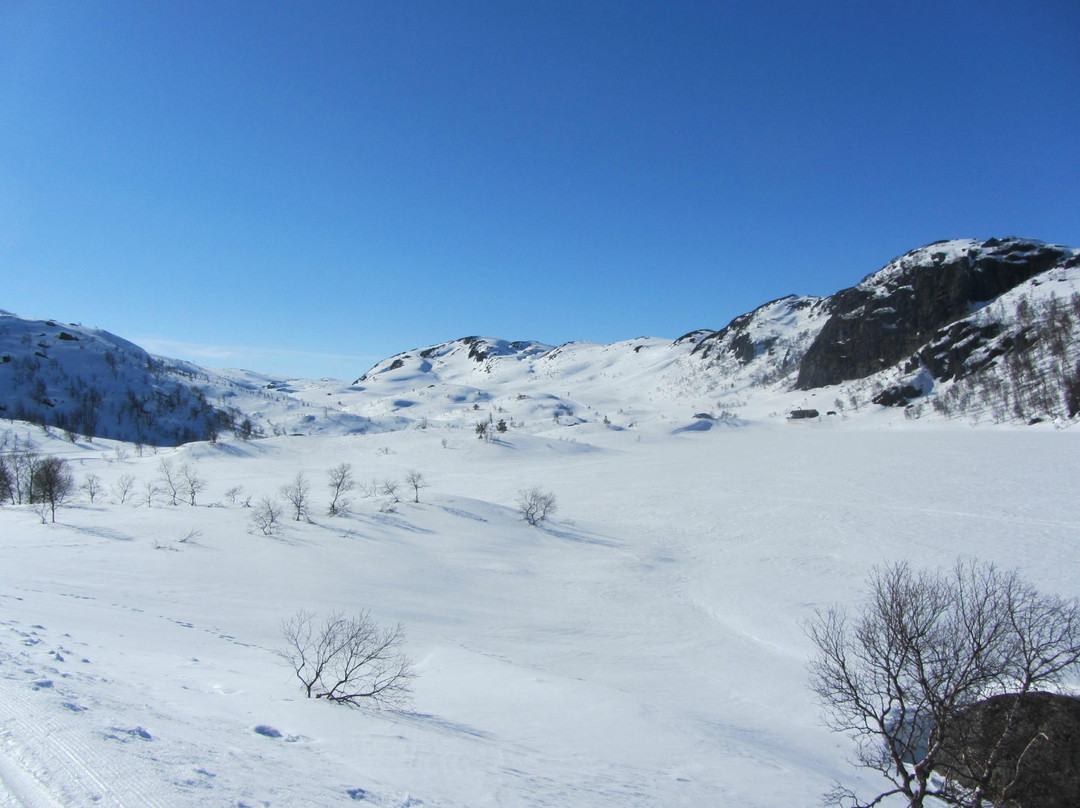 Ljosland Skisenter景点图片