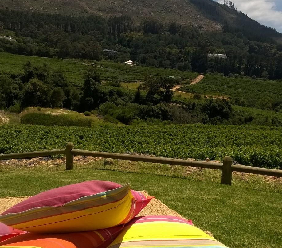 Constantia Glen Winery-康士坦提亚必去景点