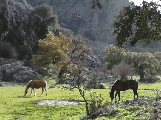 Ruta Sendero Valdeinfierno-Los Barrios必去景点